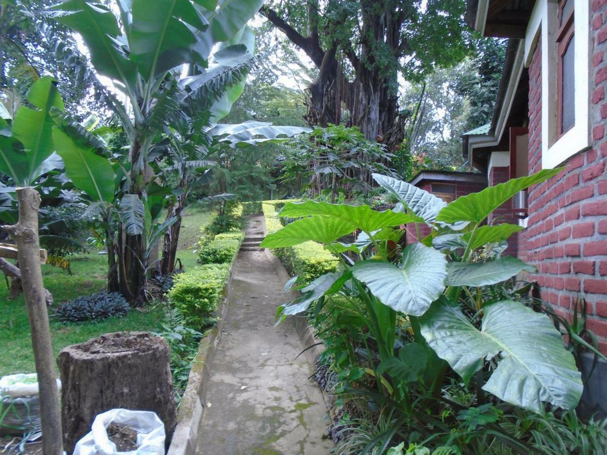 Themi Valley Eco And Cultural Tourism Homestay Аруша Екстериор снимка